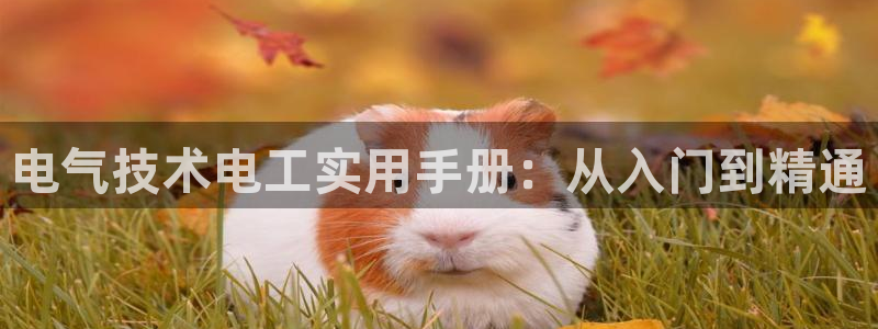 凯发就来凯发天生赢家一触即发