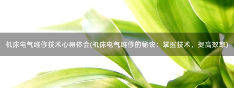 凯发正规网站