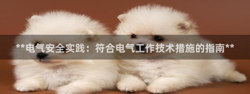 凯发唯一官方网站