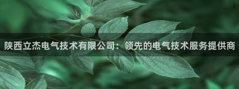 凯发官方手机app：陕西立杰电气技术有限公司：领先