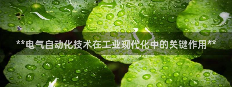 凯发k8娱乐旗舰厅