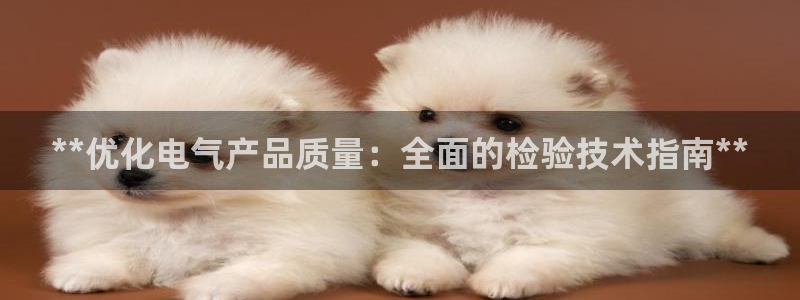 凯发手机官网：**优化电气产品质量：全面的检验技术