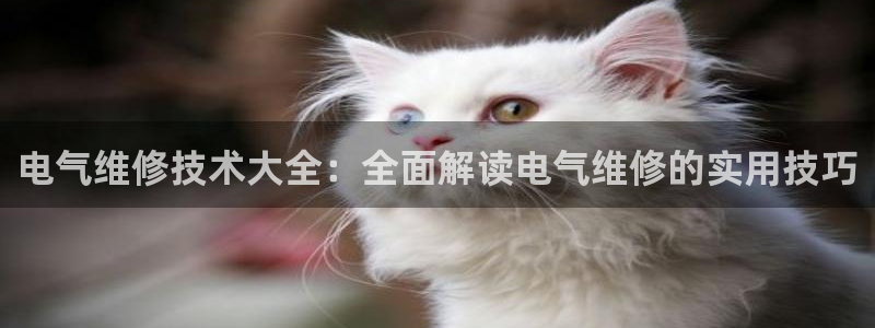 凯发国际怎么赚钱：电气维修技术大全：全面解读电气维