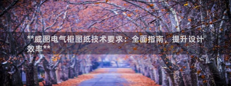 凯发k8国际真人版安全送38元：**威图电气柜图纸