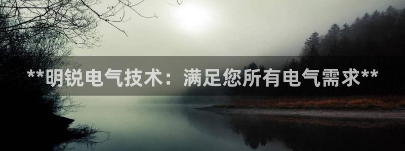 凯发k8官网so选来就送38：**明锐电气技术：满