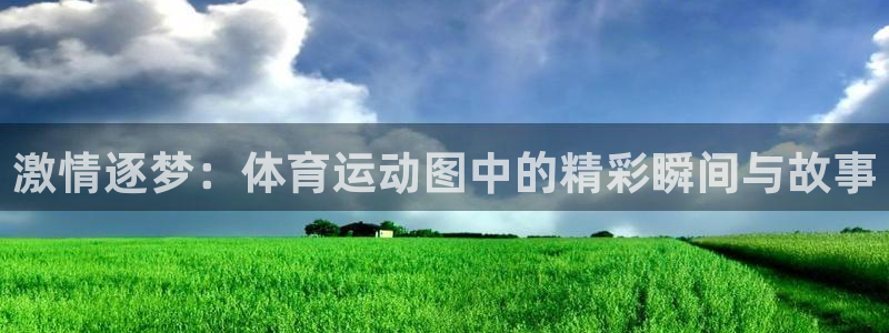 xc体育app官方网站：激情逐梦：体育运动图中的精彩瞬间与故事