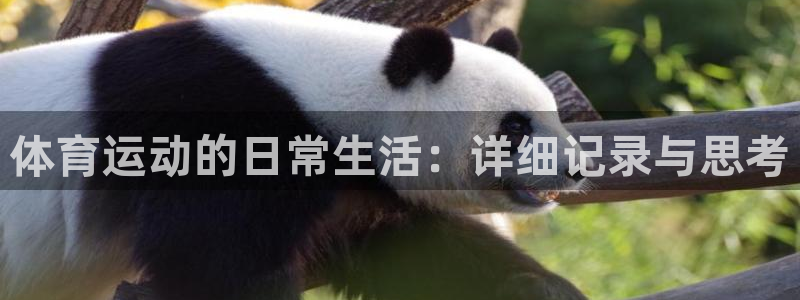 xc体育app官方网站：体育运动的日常生活：详细记录与思考