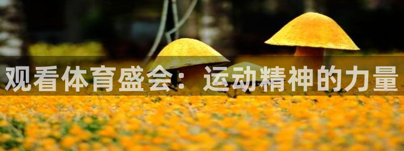 xc体育：观看体育盛会：运动精神的力量