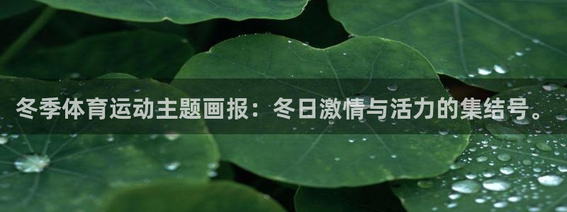 冬季体育运动主题画报：冬日激情与活力的集结号。