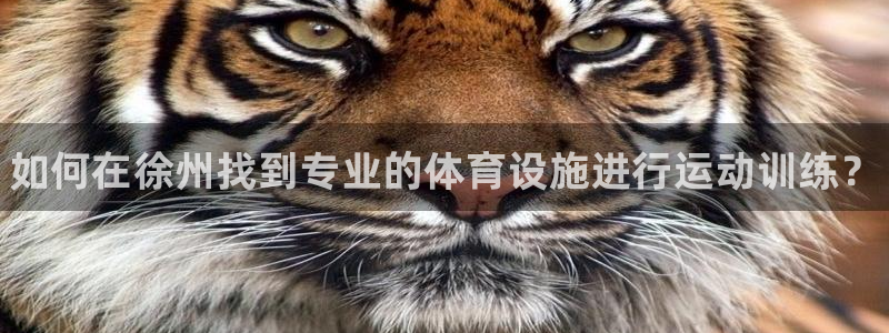 xc体育：如何在徐州找到专业的体育设施进行运动训练？