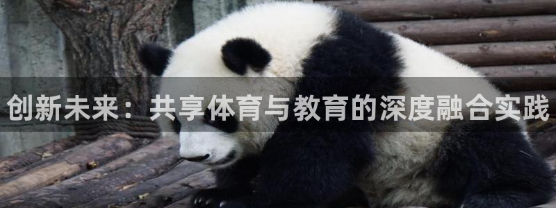 xc体育：创新未来：共享体育与教育的深度融合实践