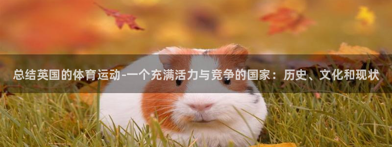 xc体育：总结英国的体育运动-一个充满活力与竞争的国家：历史、文化和现状