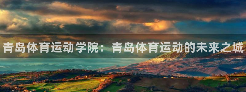 xc体育
