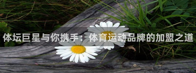 xc体育app官方网站：体坛巨星与你携手：体育运动品牌的加盟之道
