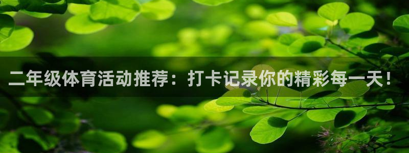 xc体育app官方网站：二年级体育活动推荐：打卡记录你的精彩每一天！