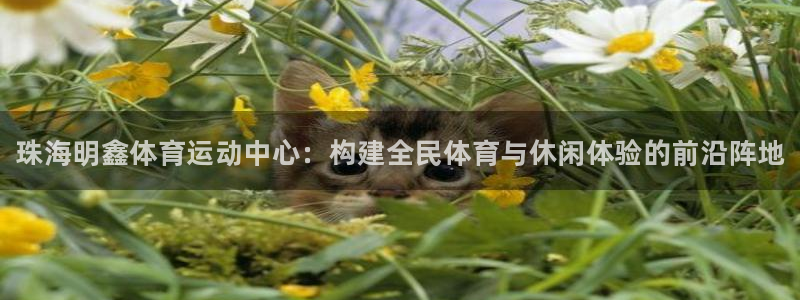 xc体育：珠海明鑫体育运动中心：构建全民体育与休闲体验的前沿阵地
