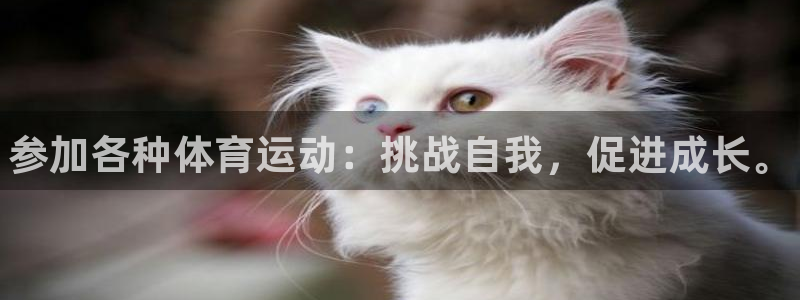 xc体育app官方网站：参加各种体育运动：挑战自我，促进成长。