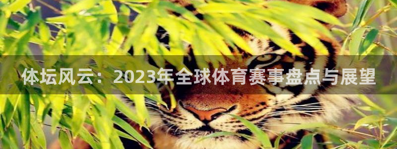 xc体育：体坛风云：2023年全球体育赛事盘点与展望