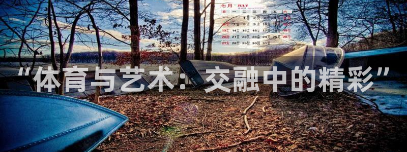 xc体育app官方网站：“体育与艺术：交融中的精彩”
