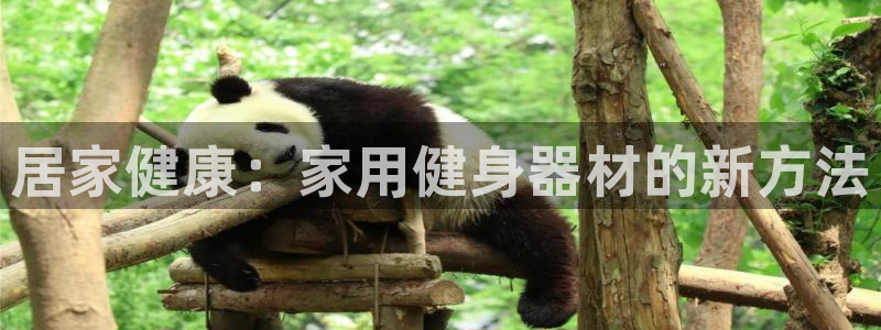 xc体育app官方网站