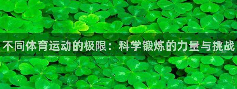 xc体育