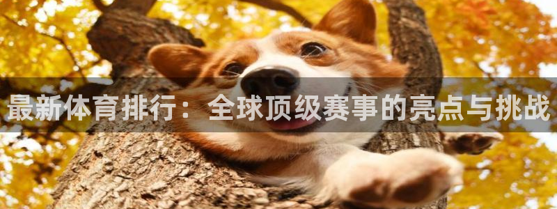 xc体育：最新体育排行：全球顶级赛事的亮点与挑战
