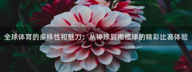 xc体育app官方网站：全球体育的多样性和魅力：从棒球到橄榄球的精彩比赛体验