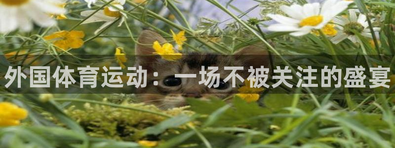 xc体育：外国体育运动：一场不被关注的盛宴