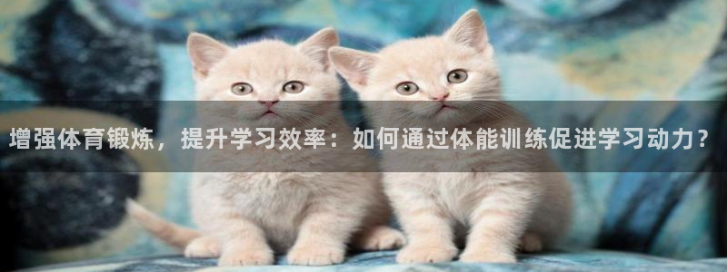 xc体育：增强体育锻炼，提升学习效率：如何通过体能训练促进学习动力？