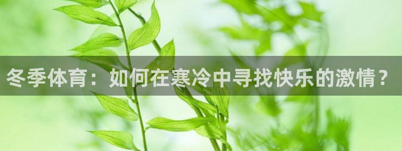xc体育：冬季体育：如何在寒冷中寻找快乐的激情？