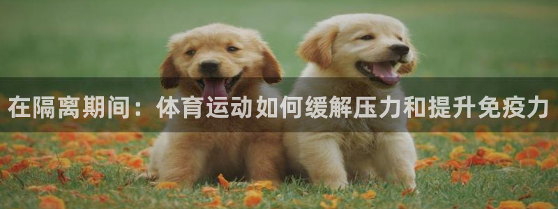 xc体育app官方网站：在隔离期间：体育运动如何缓解压力和提升免疫力