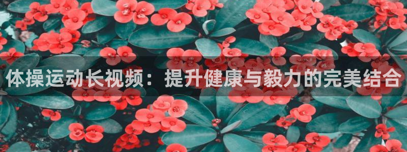 xc体育app官方网站：体操运动长视频：提升健康与毅力的完美结合