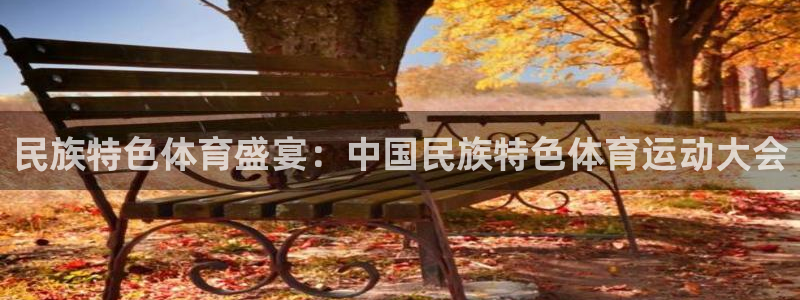 xc体育：民族特色体育盛宴：中国民族特色体育运动大会