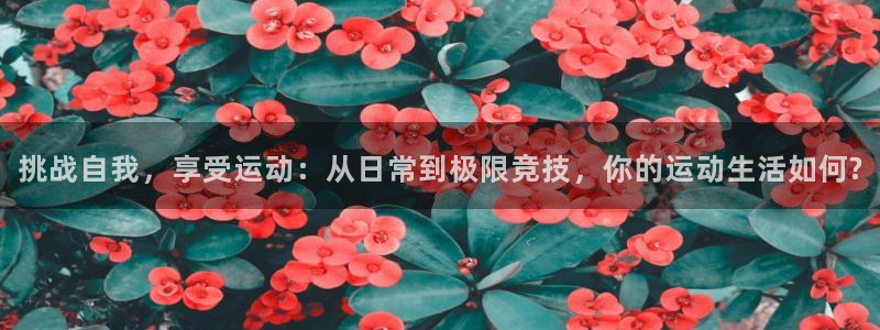 xc体育：挑战自我，享受运动：从日常到极限竞技，你的运动生活如何?