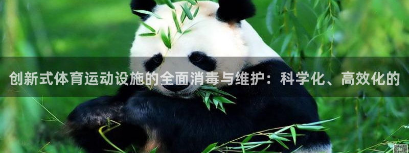 xc体育：创新式体育运动设施的全面消毒与维护：科学化、高效化的