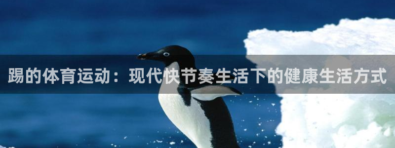 xc体育app官方网站：踢的体育运动：现代快节奏生活下的健康生活方式