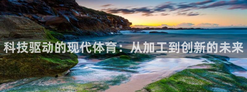xc体育app官方网站
