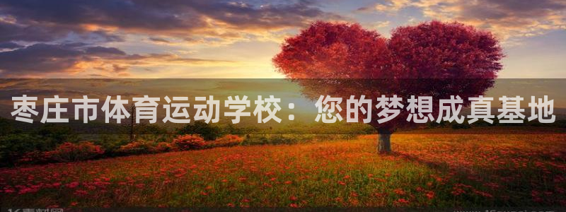 xc体育app官方网站：枣庄市体育运动学校：您的梦想成真基地