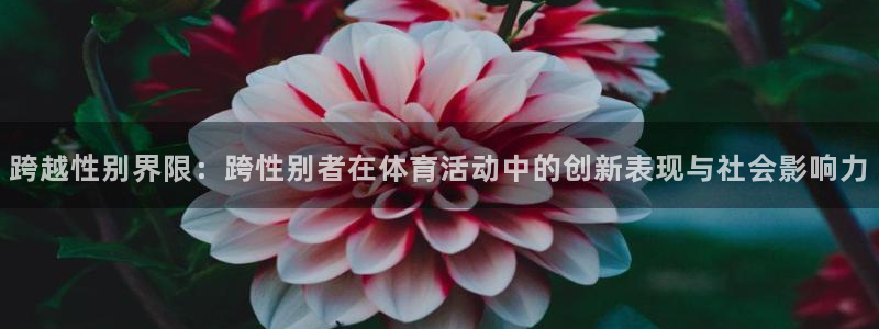 xc体育：跨越性别界限：跨性别者在体育活动中的创新表现与社会影响力