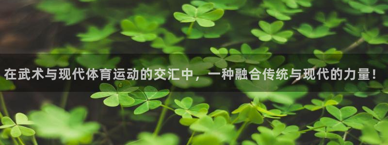 xc体育：在武术与现代体育运动的交汇中，一种融合传统与现代的力量！