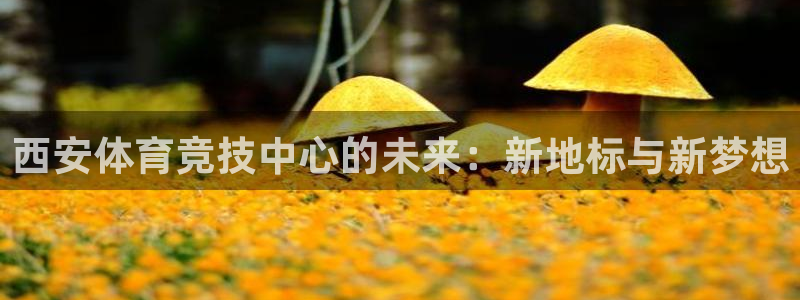 xc体育：西安体育竞技中心的未来：新地标与新梦想