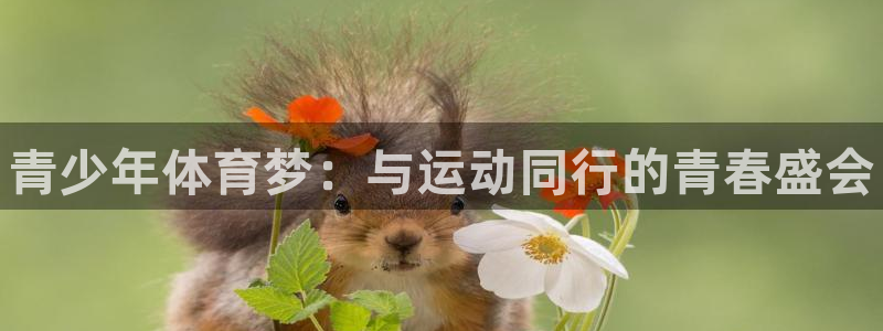 xc体育app官方网站：青少年体育梦：与运动同行的青春盛会