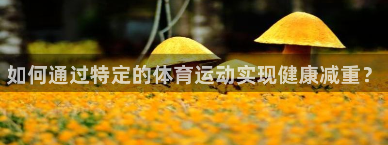 xc体育：如何通过特定的体育运动实现健康减重？