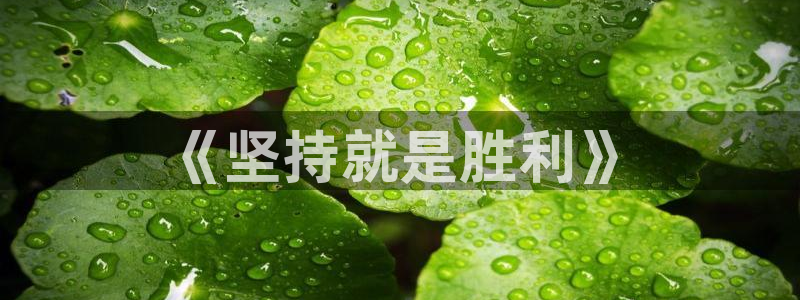 xc体育：《坚持就是胜利》