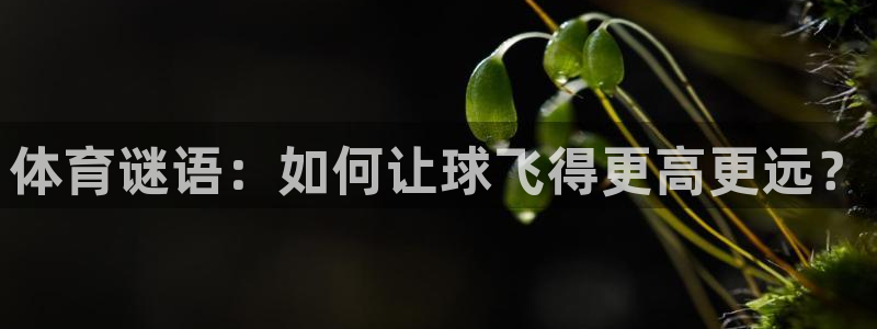xc体育：体育谜语：如何让球飞得更高更远？