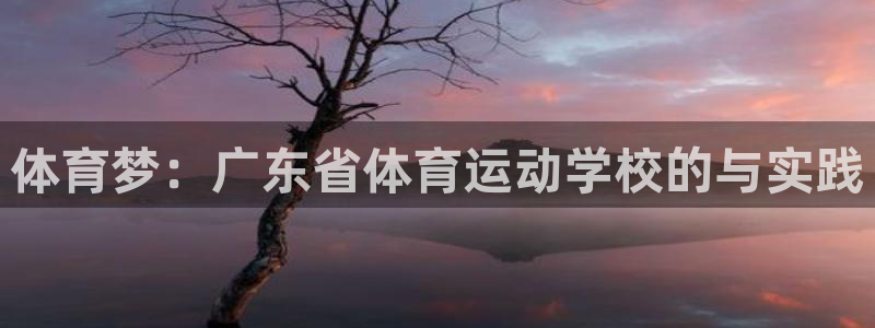 xc体育app官方网站：体育梦：广东省体育运动学校的与实践