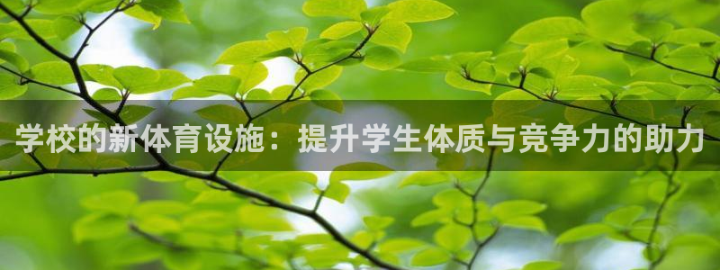 xc体育app官方网站