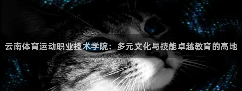 xc体育app官方网站：云南体育运动职业技术学院：多元文化与技能卓越教育的高地