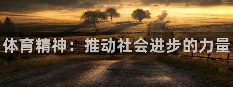 xc体育app官方网站：体育精神：推动社会进步的力量