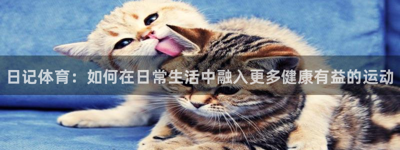xc体育app官方网站：日记体育：如何在日常生活中融入更多健康有益的运动